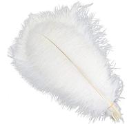 Sowder Lot de 5 Plumes d'autruche décoratives de 40 à 45 cm (Blanc)