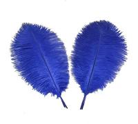 Sowder Lot de 5 plumes d'autruche décoratives de 40 à 45 cm (bleu roi)