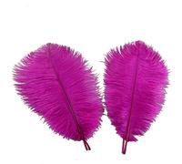 Sowder Lot de 5 plumes d'autruche décoratives de 40 à 45 cm (fuchsia)