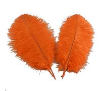 Sowder Lot de 5 plumes d'autruche décoratives de 40 à 45 cm (orange)