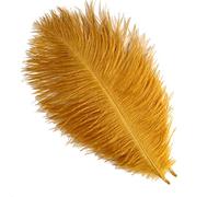 Sowder Lot de 50 plumes d’autruche naturelles de 20-25 cm pour décoration d’intérieur et de mariage