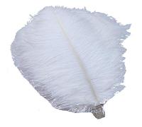 Sowder Lot de 50 plumes d’autruche naturelles de 20-25 cm pour décoration d’intérieur et de mariage