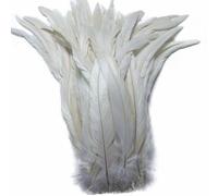 Sowder - Plumes de queue de coq - De 27 à 35 cm - Lot de 50