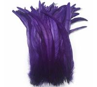 Sowder - Plumes de queue de coq - De 27 à 35 cm - Lot de 50