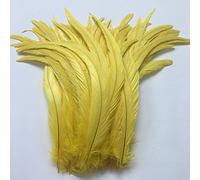 Sowder - Plumes de queue de coq - De 27 à 35 cm - Lot de 50