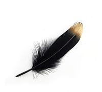 Sowder Plumes d'oie Naturelles pour vêtements Lot de 50pcs(Noir et Or)