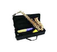 Sp-30 saxophone alto sib, or