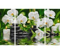 Spa Oasis Triptyque - Peinture par numéros