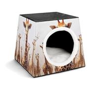 Space Capsule Niche en tissu Oxford pour chats, chiens, cochons d'Inde et petits animaux de compagnie, famille et voyage, 35,1 x 35,1 x 30 cm