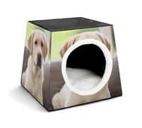 Space Capsule Niche en tissu Oxford pour chats, chiens, cochons d'Inde et petits animaux de compagnie, famille et voyage, 35,1 x 35,1 x 30 cm