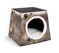 Space Capsule Niche en tissu Oxford pour chats, chiens, cochons d'Inde et petits animaux de compagnie, famille et voyage, 35,1 x 35,1 x 30 cm