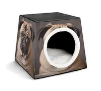 Space Capsule Niche en tissu Oxford pour chats, chiens, cochons d'Inde et petits animaux de compagnie, famille et voyage, 35,1 x 35,1 x 30 cm