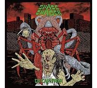 Space Chaser - Decapitron (2020 Remix) [Import]