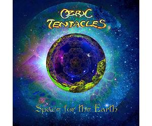 Space for the Earth