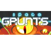 Space Grunts (PC)