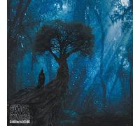 Space Invaders - Garden of The Wizard (Gtf.Blue/Black 2lp) [Import]