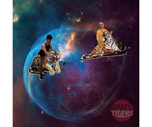 Space Tigers Berlin - Real Sofa Techno Jazz Surfers