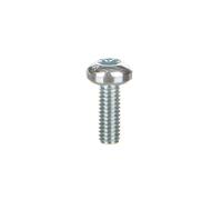 Tournevis Torx screw T30 (M6x16) NSYST30M6/100 pcs Spacial