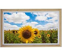 Spacmirrors Cadre Photo numérique, Cadre Photo numérique avec écran IPS 1920 x 1080, aperçu de l'image, Lecteur vidéo, Calendrier, Horloge, Album Photo électronique, Machine publicitaire, affic