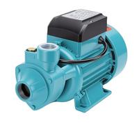 Spacnana Pompe de Transfert D'eau, Pompe Centrifuge 0,75 550 W 50 L/min Tête de 164 Pieds Sortie D'entrée 1 Po pour L'irrigation de Pelouse de Jardin de Puits