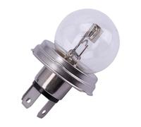Spahn Ampoule 12v 45/40w P45t
