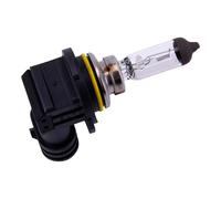 Spahn Ampoule 12v 51w Hb4 P22d