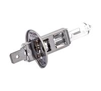 Spahn Ampoule 12v 55w H1 50+ P14.5s