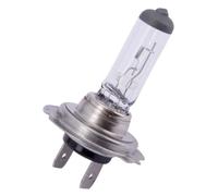 Spahn Ampoule 12v 55w H7 Px26d