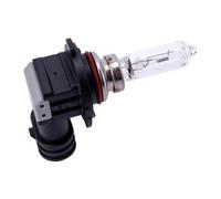 Spahn Ampoule 12v 65w Hb3 P20d