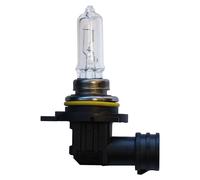 Spahn Ampoule 586008