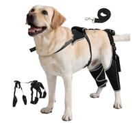 Spajoy Genouillère pour chien avec support réglable pour patte arrière Acl pour soutien en cas de blessure ligamentaire croisée, luxation de la rotule, arthrite, genouillère Acl pour chien avec