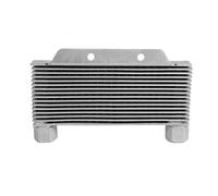 SPAKAMTZTK Radiateur de Refroidisseur d'huile de Moteur en Alliage d'aluminium d'argent 15 Rangs de Refroidisseur d'huile de Moteur Universel de Moteur de Motocyclette Refroidisseur d'huile