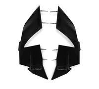 SPAMFAFGHQ Carénage Latéral Aérodynamique pour S1000RR S 1000 RR S1000 2023 2024 Déflecteur Spoiler(Noir Brillant)