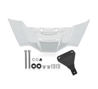SPAMFAFGHQ pour F900R F 900 R F900 2021-2024 Aileron De Moto Aérodynamique Naked Déflecteur Spoilers À Appui(Blanc)
