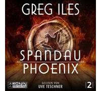 Spandau Phoenix - Buch 2
