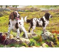 Spaniel On Moor - Puzzle 1000 Pièces