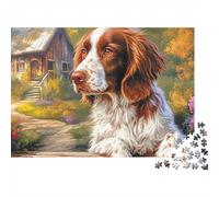 Spaniel Springer Puzzle 1000 Pièces Energetic Spotted Alert Spaniel Springers Puzzle De Haute Qualité pour Détente, Concentration Et Loisirs en Famille 70x50cm/1000pcs
