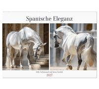 Spanische Eleganz. Edle Schimmel auf dem Gestüt (Wandkalender 2027 DIN A2 quer), CALVENDO Monatskalender: Ein eleganter Pferdekalender, der die ... in ruhigen und kraftvollen Momenten zeigt.