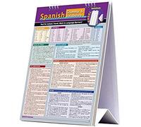 Spanish Grammar & Vocabulary Easel Book