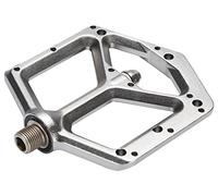 Spank SP-PED-0010-grey-nos Pédale Plate Spike (Gris)