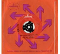 SPANKY & OUR GANG - sunday will never be the same 45 rpm single