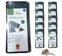 SPARIL Piège à Rat et Souris Colle Glu Ultra Forte 10 Plaques