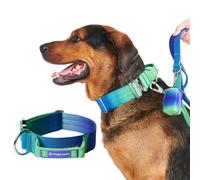 Spark Paws Collier tactique pour chiens, collier de haute qualité pour votre compagnon canin, Lime Wave, M