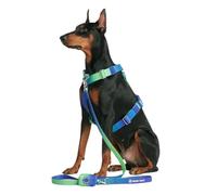 Spark Paws Harnais anti-traction pour chiens de grande taille, harnais robuste pour chiens de grande race forte, réglable, dos nu rembourré en forme de Y avec clip avant - Vague citron vert - S