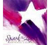 Spark The Light Guided Meditation CD From The Heart Of Karen Paolino
