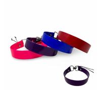 SparkDog Collars Sangle de rechange pour collier électrique à réglage rapide pour chien, collier de dressage pour chien, sangle de rechange en BioThane® véritable, fabriqué aux États-Unis (2,5 cm,