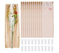 Sparkeads Lot de 20 sacs d'emballage de roses simples avec tubes d'eau pour la Saint-Valentin, Thanksgiving, emballage de fleurs, Pérou