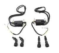 Sparking Coil pour, Ensemble de Bobines D'allumage, Puissance D'augmentation, Alliage D'aluminium + Matériau ABS, Correspond aux Modèles GS, 21171-1019/21121-1174 /