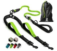 SparklyPets - Laisse Double à Corde élastique pour 2 Chiens de Petite et Grande Taille - Anti-Traction pour l’Absorption des Chocs, Laisse antidérapante à Bandes réfléchissantes pour l’extérieur