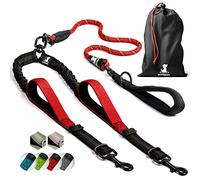 SparklyPets - Laisse Double à Corde élastique pour 2 Chiens de Petite et Grande Taille - Anti-Traction pour l’Absorption des Chocs, Laisse antidérapante à Bandes réfléchissantes pour l’extérieur